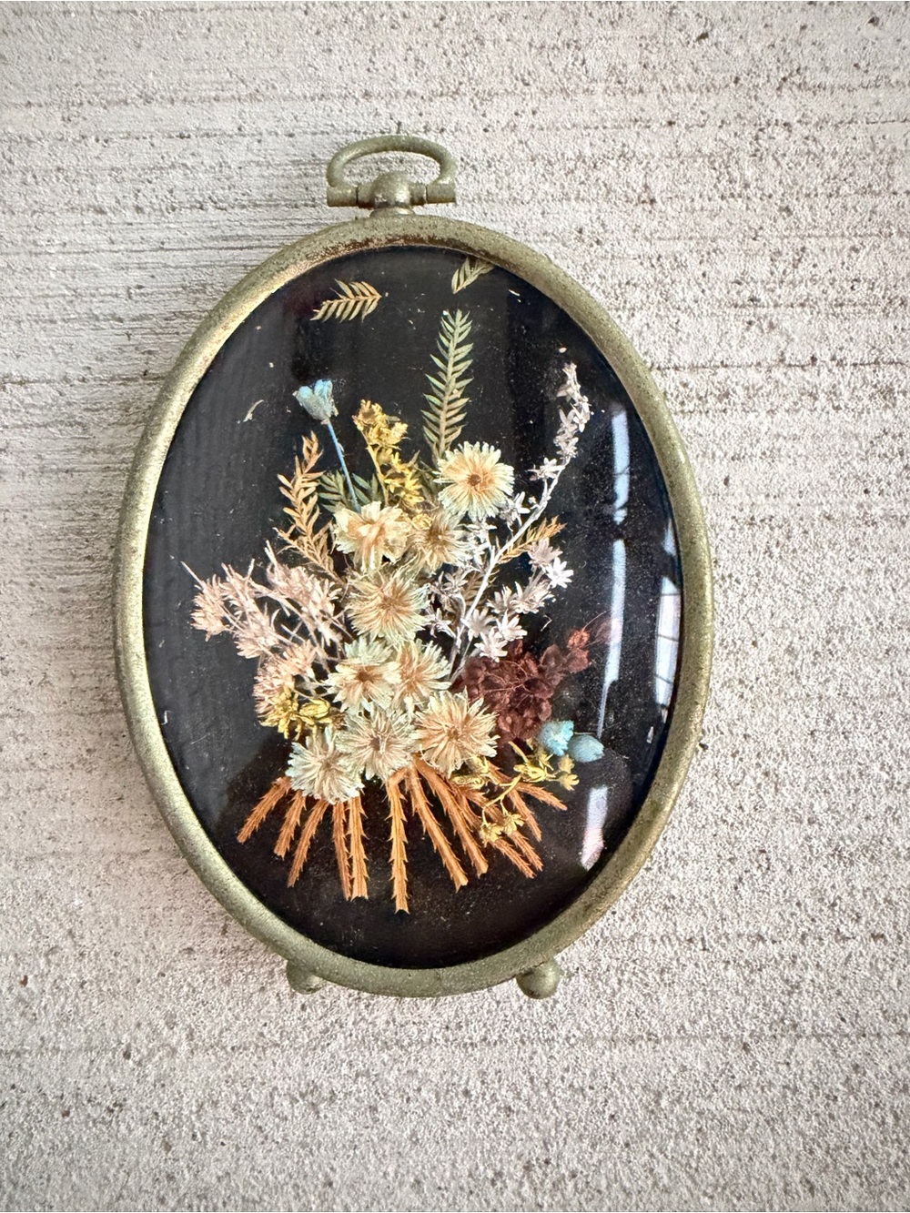 Antique Oval Pressed Dried Flower Frame Convex Glass Brass French Belgian Style